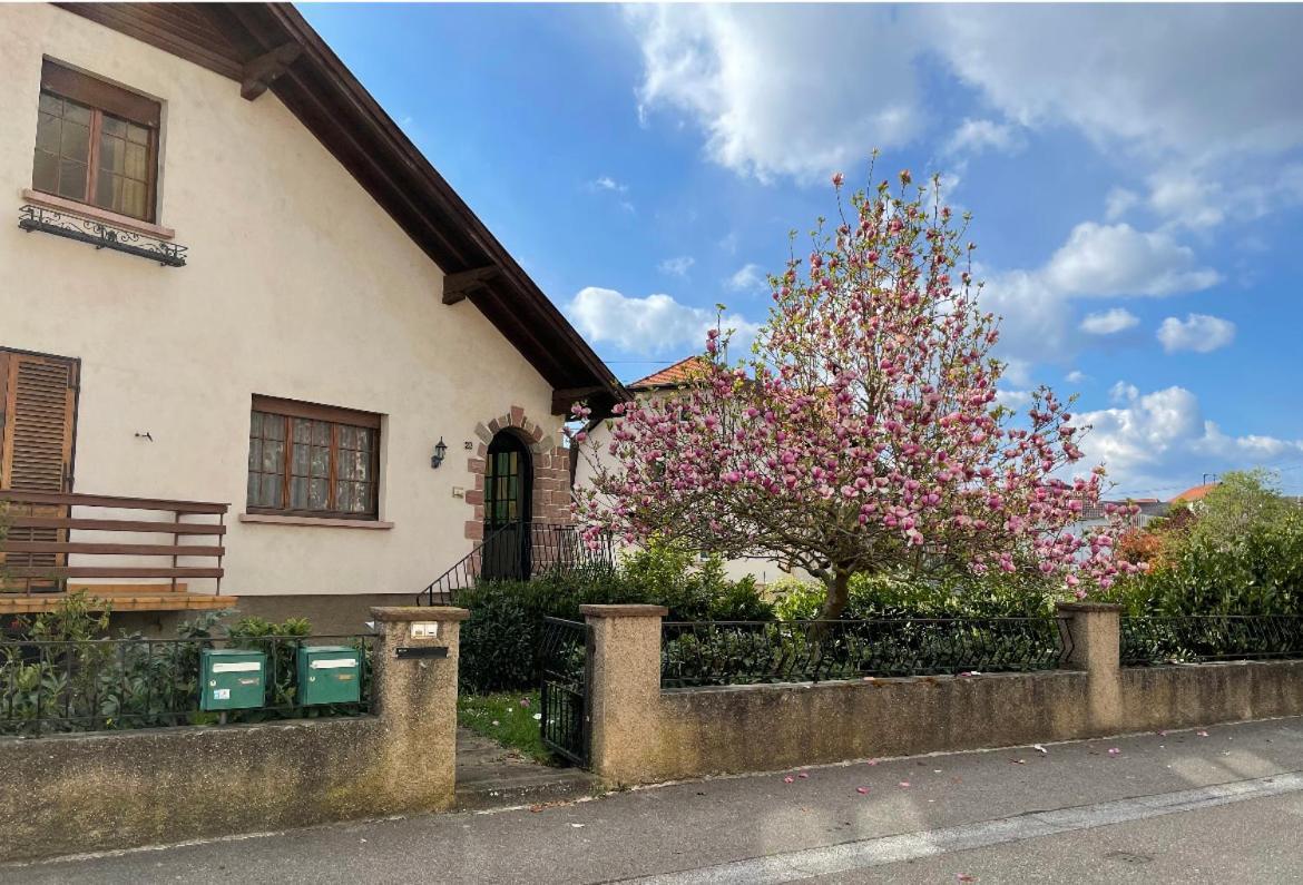Villa Schmitt Selestat Luaran gambar