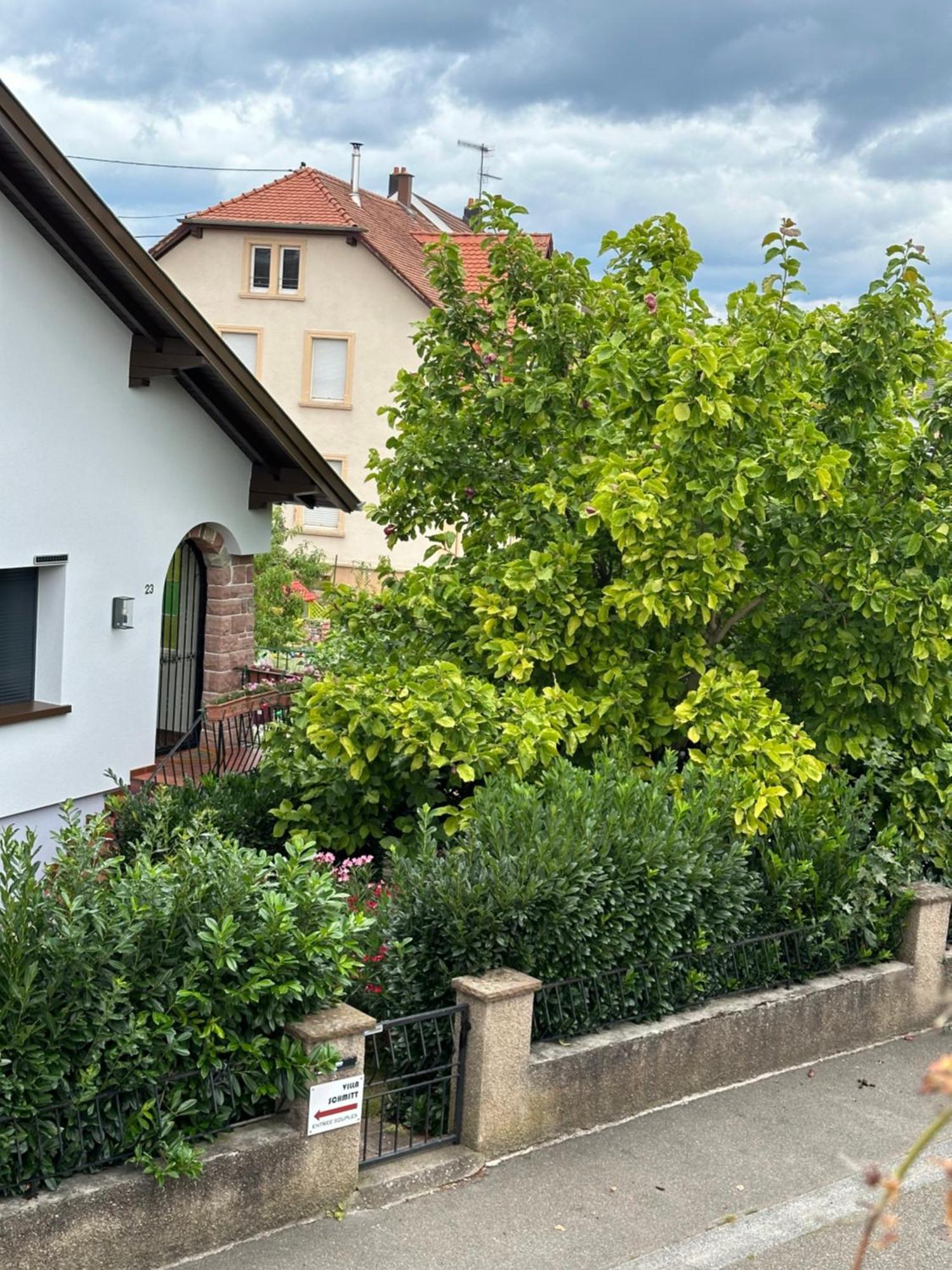 Villa Schmitt Selestat Luaran gambar